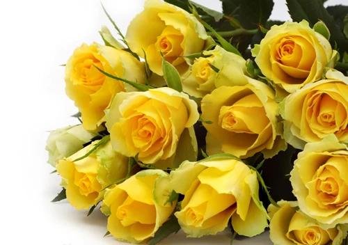 букет желтых роз