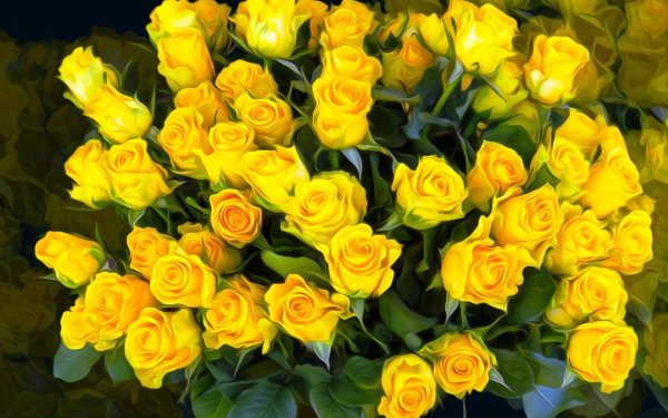 букет желтых роз