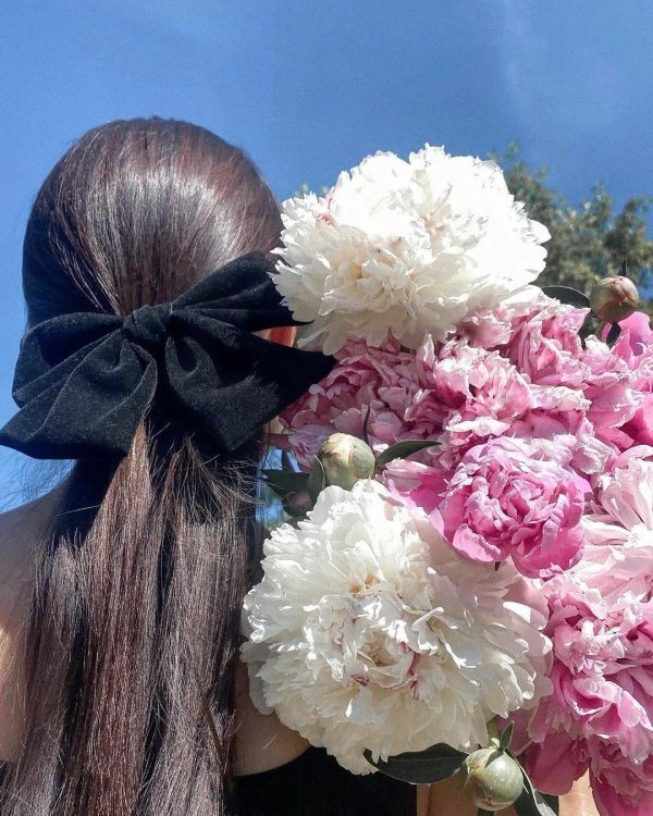 большие банты