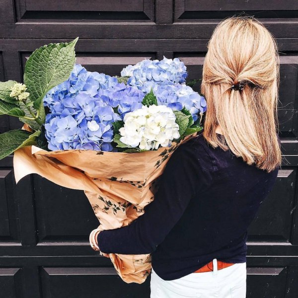 гортензии букет