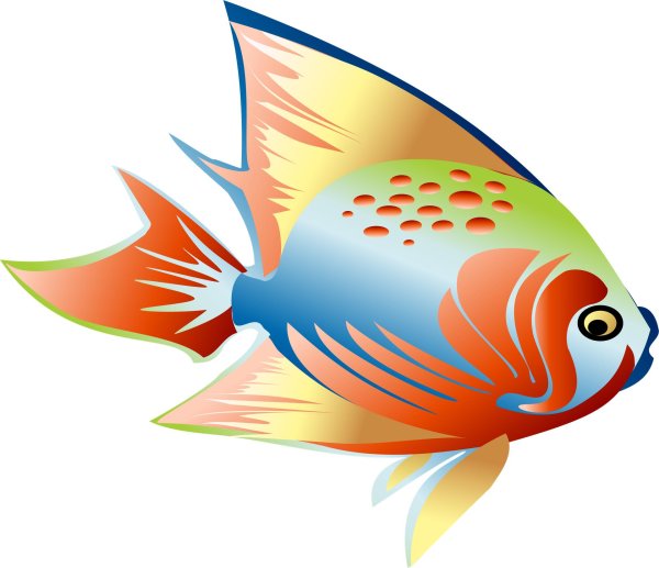 Рыбок для детей цветные