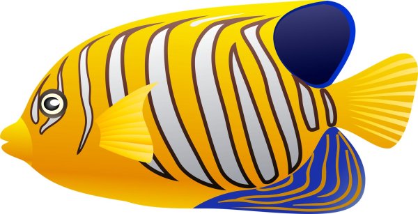 рыба клипарт