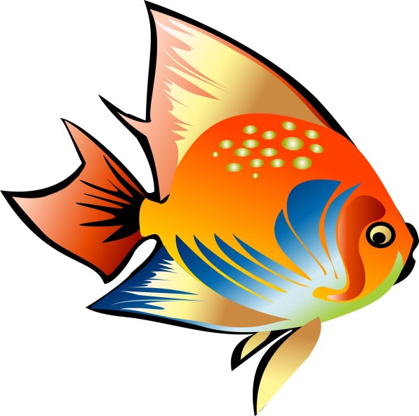 рыба мультяшная