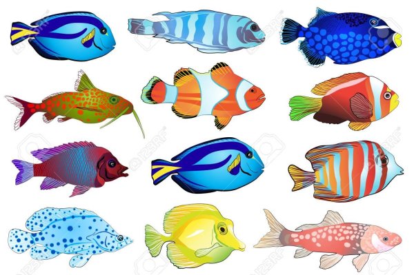 аквариумные рыбки иллюстрации