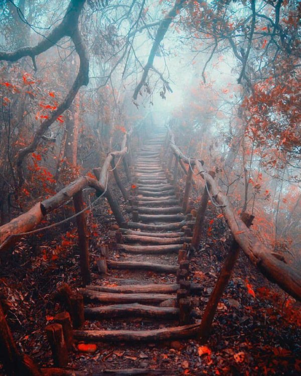 страшные пейзажи