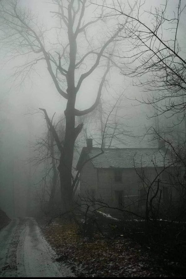 мрачная безысходность