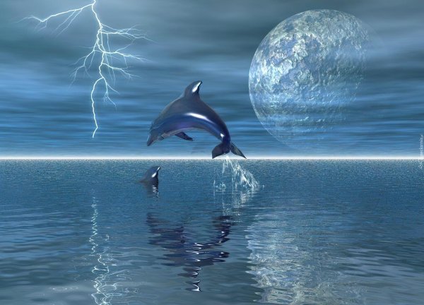 луна дельфины