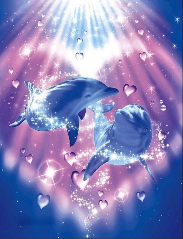 дельфин красивый