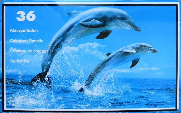 рисунки дельфинов в море