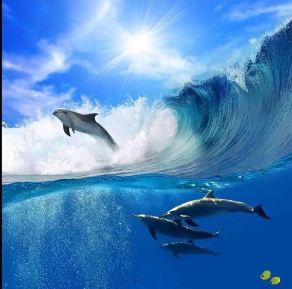 дельфины на волне