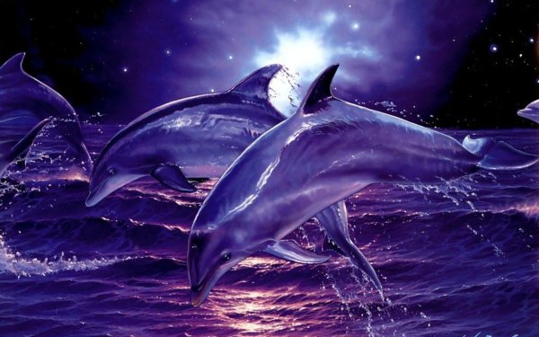 картина дельфин