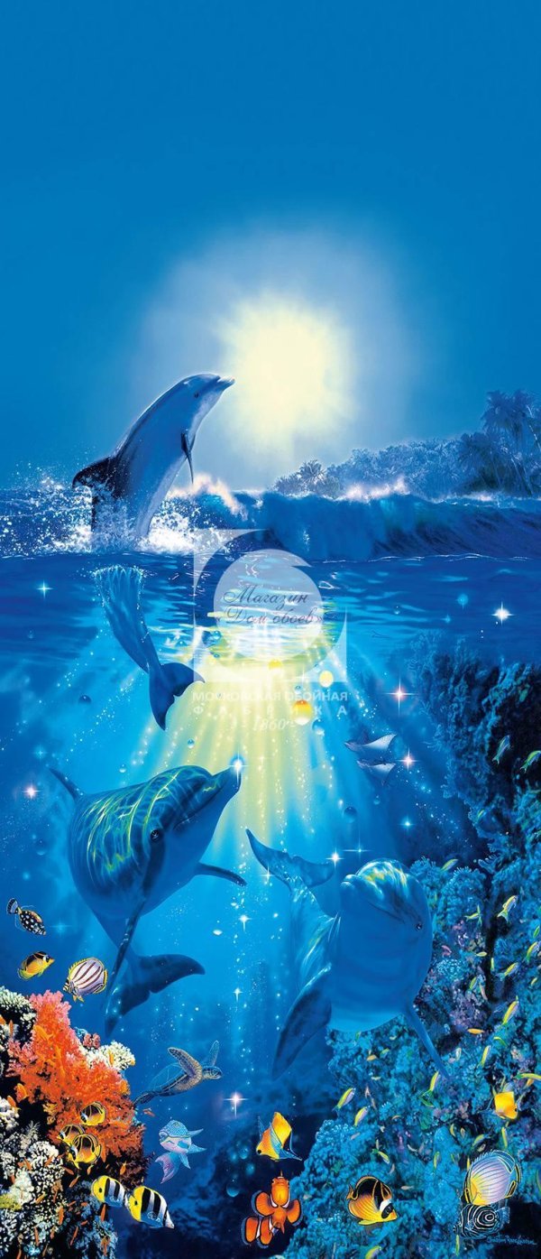 подводный мир