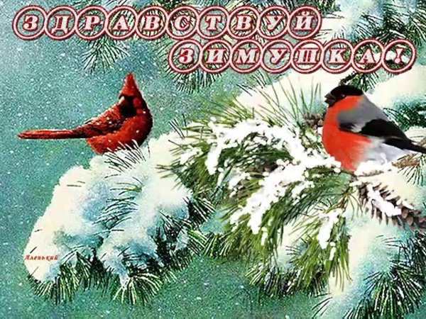 пожелания хорошего зимнего дня