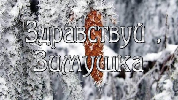зимний морозный приветик