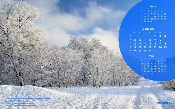 календарь январь