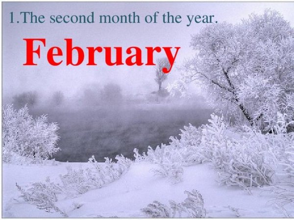 зимние месяца