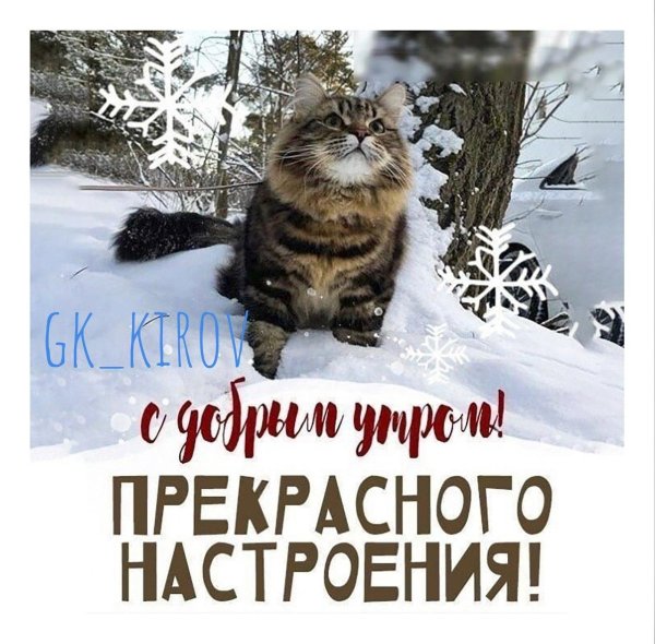 доброе морозное утро