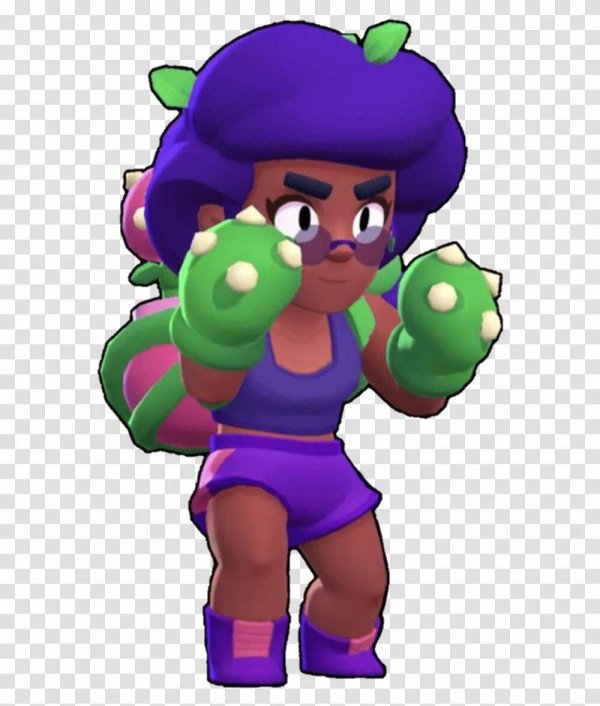 роза браво старс