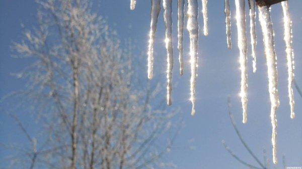 оттепель зимой