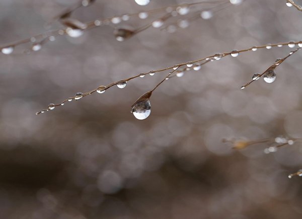 капли дождя