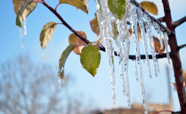 зима оттепель