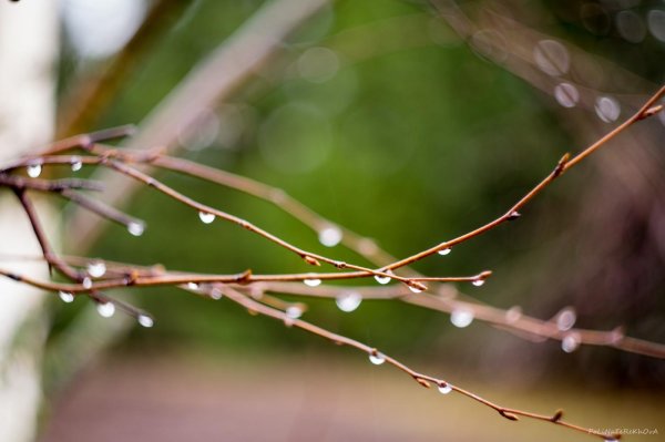 весенние дожди
