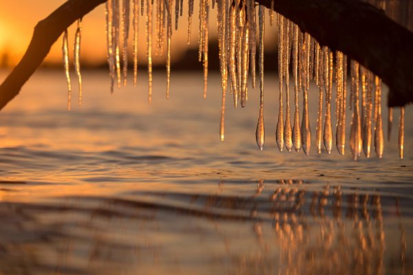 весенние капели