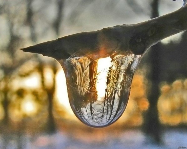 оттепель зимой