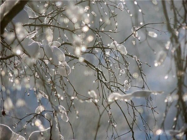 весенние дожди