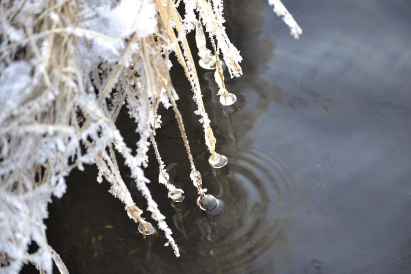 зимняя роса