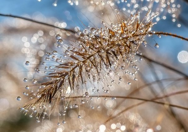 красота природа