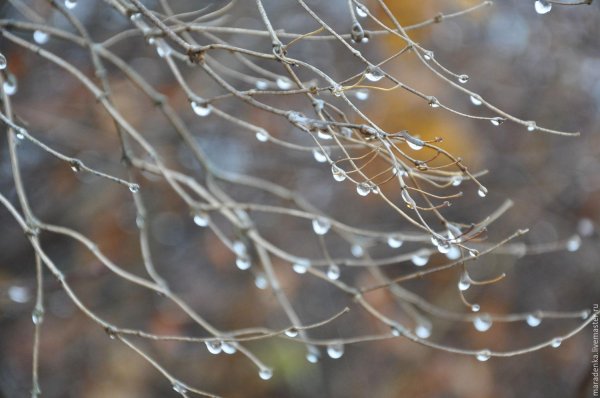 весенние дожди