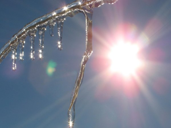 весеннее солнце