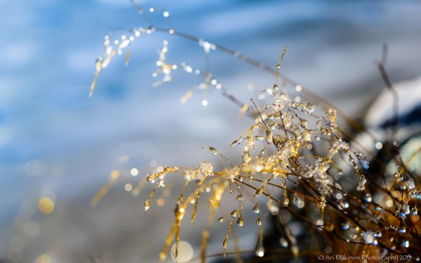 красота природа