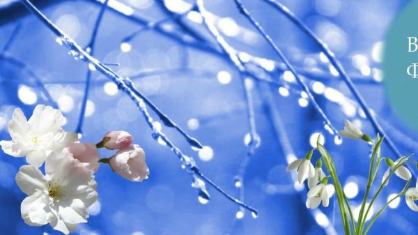 весенние фоны