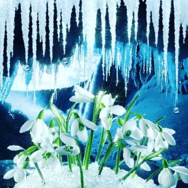 открытка подснежники