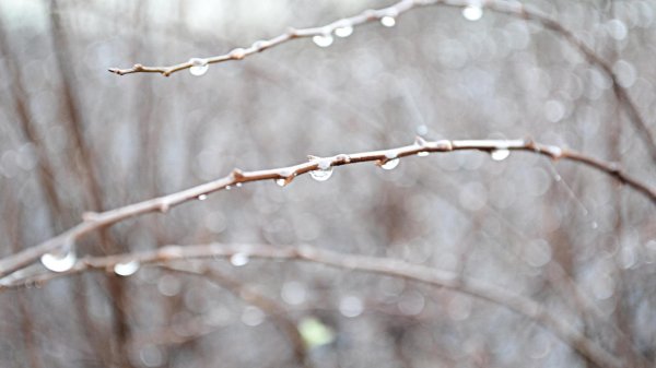 ранняя весна