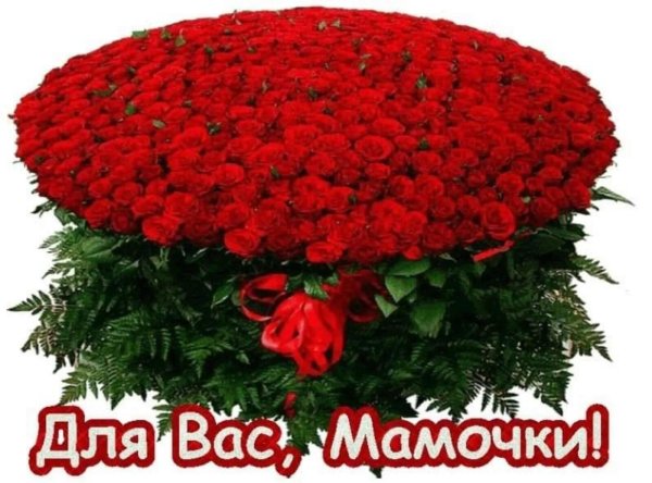 огромные букеты роз