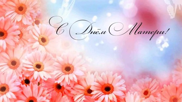 цветочные фоны