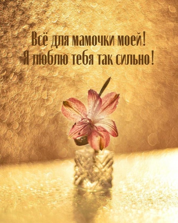 мамочка моя