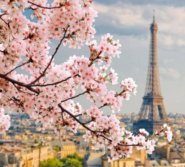 франция эйфелева башня