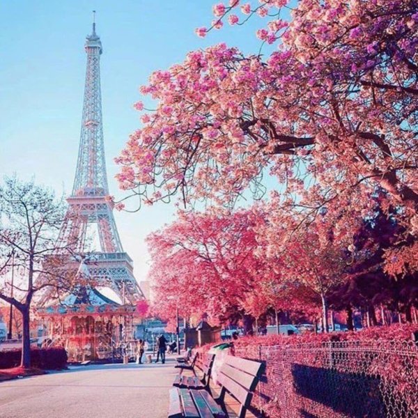 эльфивая башня в париже