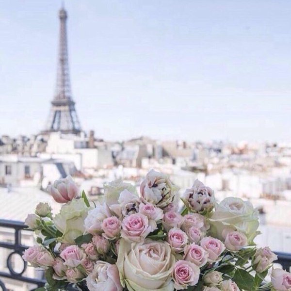 роза эйфель тауэр