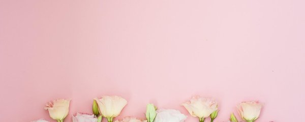 цветы на розовом фоне