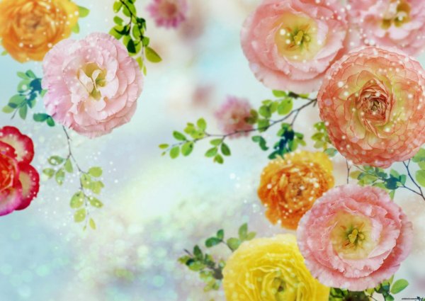 цветочные фоны