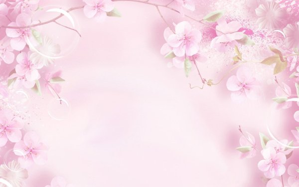 цветочные фоны