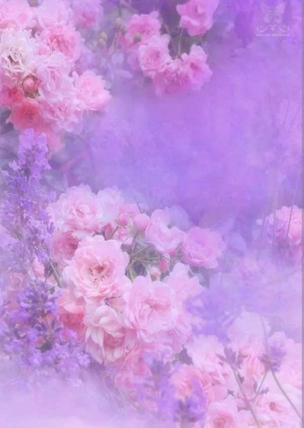 цветочные фоны