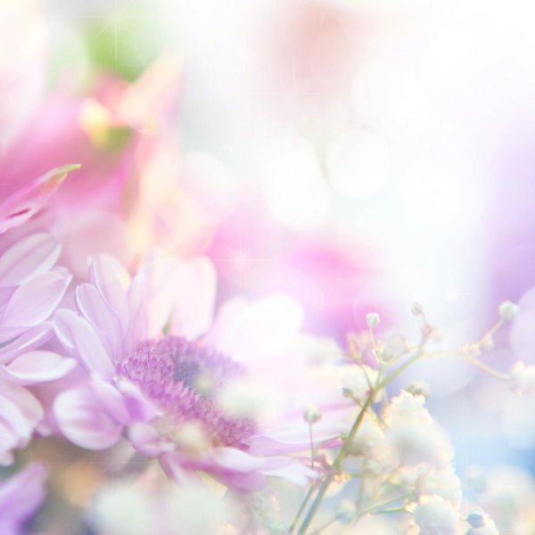 нежные тона