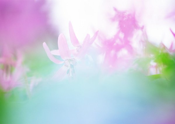 весенние фоны