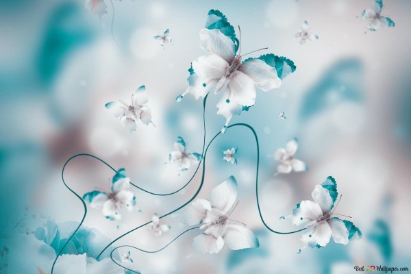 бабочки бело голубые